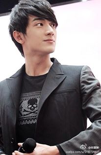 องค์ชาย 14 จากเรื่อง ปู้ปู้จิงซิน