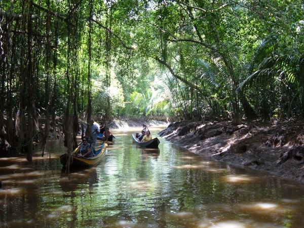 ล่องป่าอะเมซอน บราซิล ในเมืองไทย