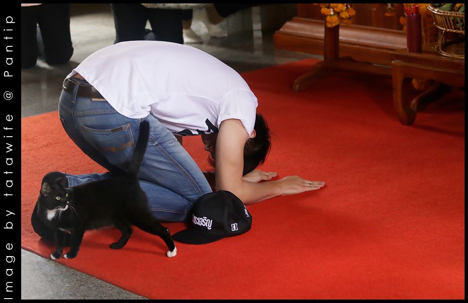 เจมส์ จิรายุ @ คนหล่อขอทำดี ปี 6 ที่จังหวัดพิจิตร