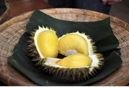 ทุเรียนเม็ดในยายปราง
