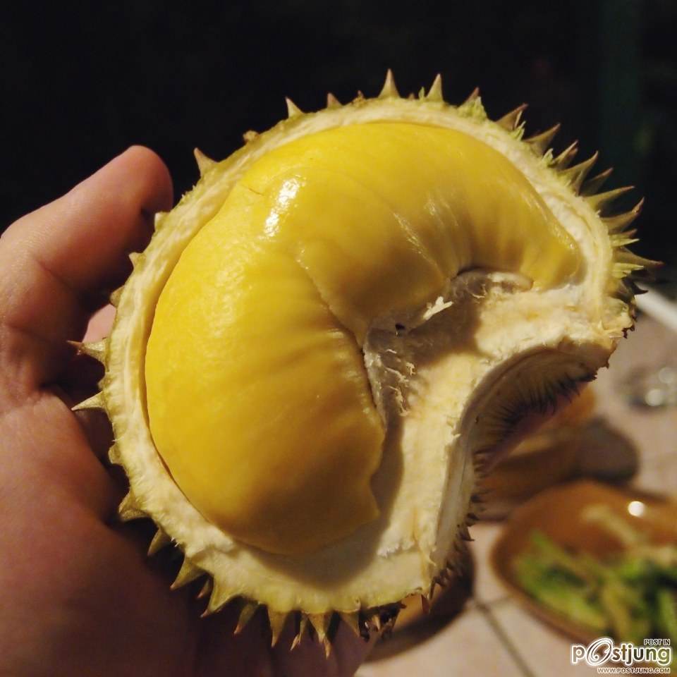 ทุเรียนเม็ดในยายปราง