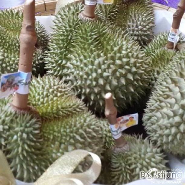 ทุเรียนเม็ดในยายปราง