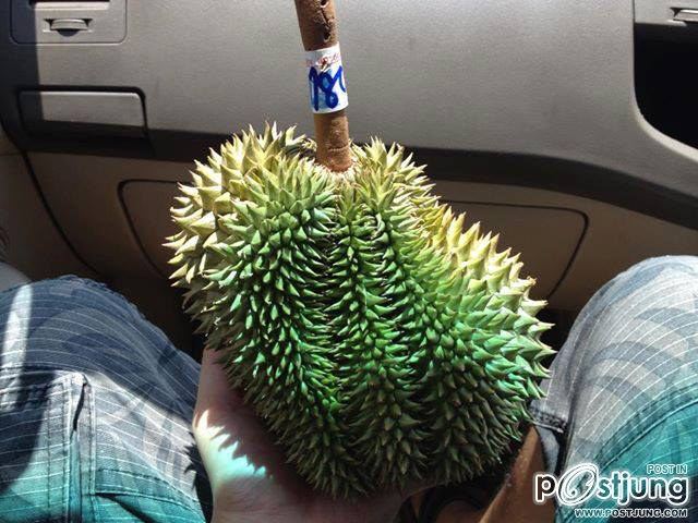 ทุเรียนเม็ดในยายปราง