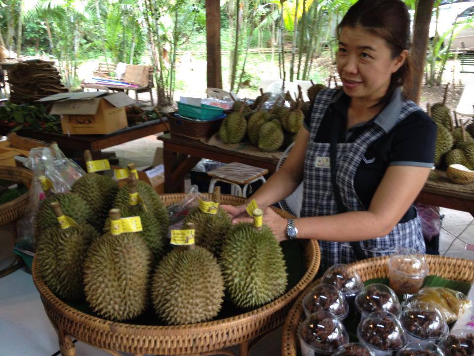 ทุเรียน หลง-หลินเมืองลับแล ,DURIAN LONG-LIN LABLAE