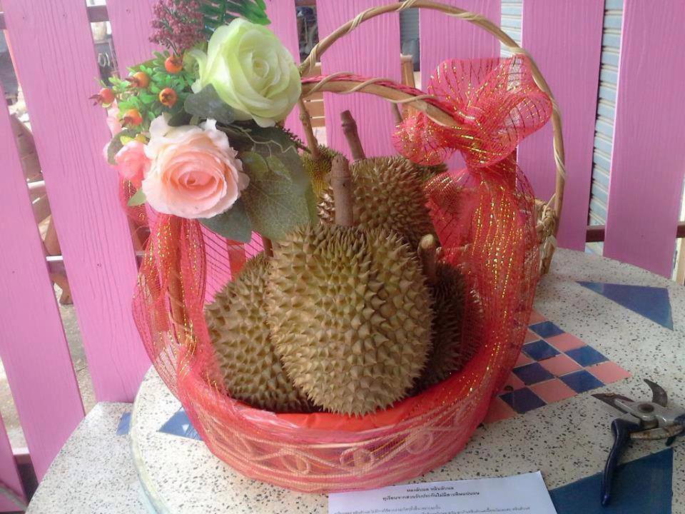 หลงลับแล
