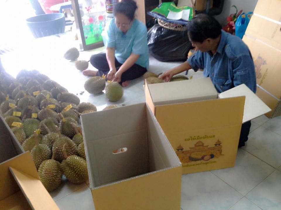 ทุเรียน หลง-หลินเมืองลับแล ,DURIAN LONG-LIN LABLAE