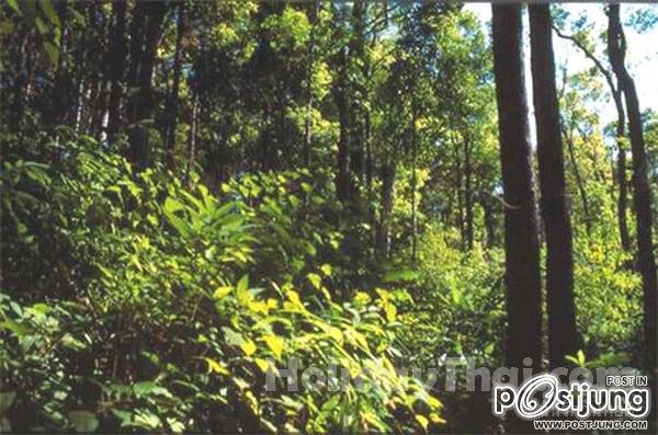 สถานที่ท่องเที่ยวเมืองพิษณุโลก
