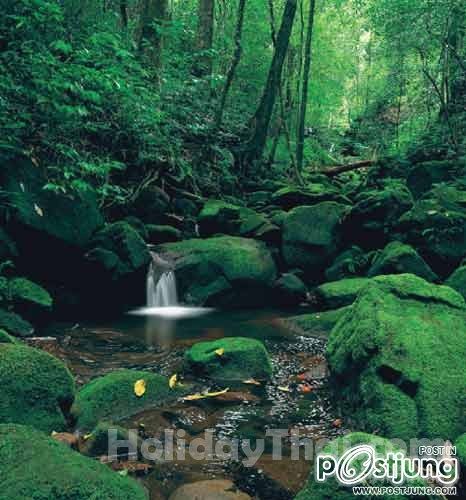 สถานที่ท่องเที่ยวเมืองพิษณุโลก