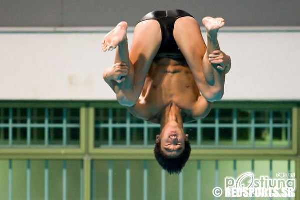 Mark & Timothy Lee, Team Singapore divers