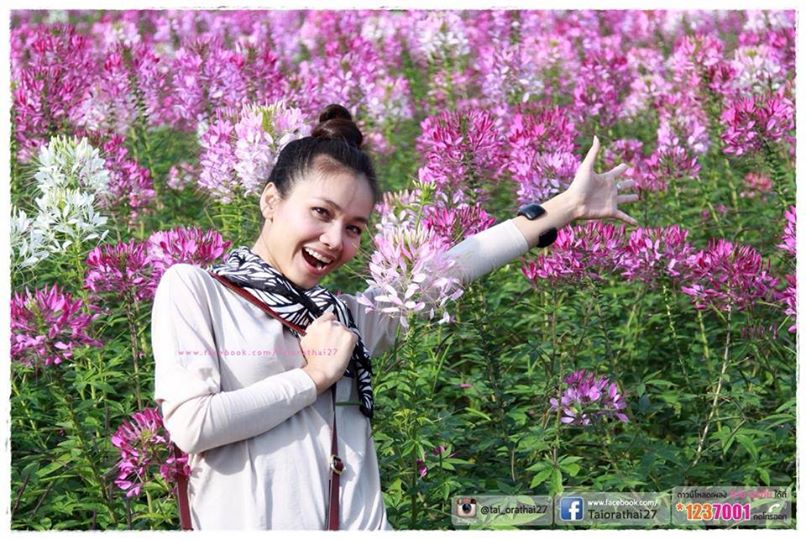 ภาพพี่ต่าย อรทัย สวย ๆ จ๊ะ
