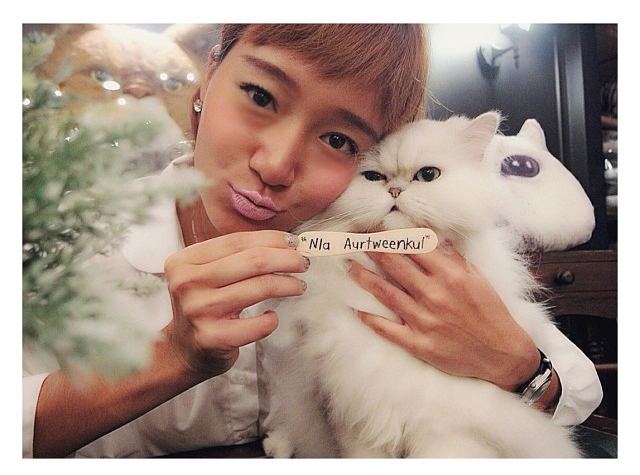 ดาราเซเลป...ทำอะไรกัน?
