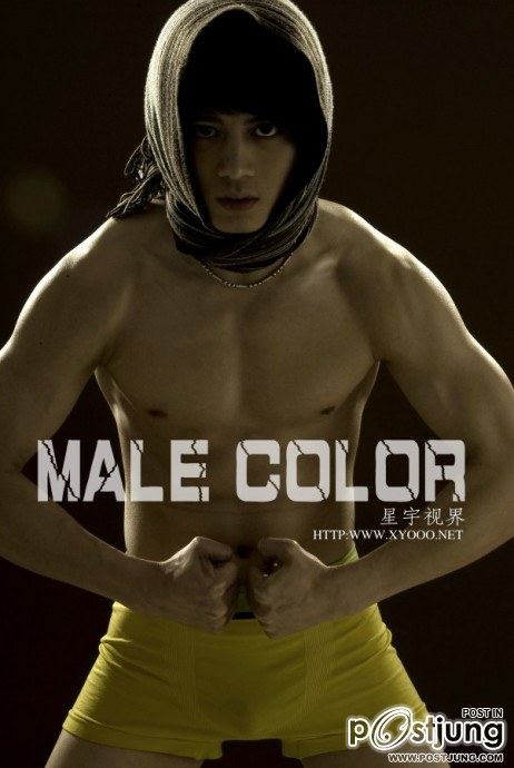 Sun Zujun