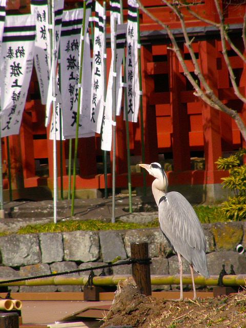 Nippon 日本 (0.02)