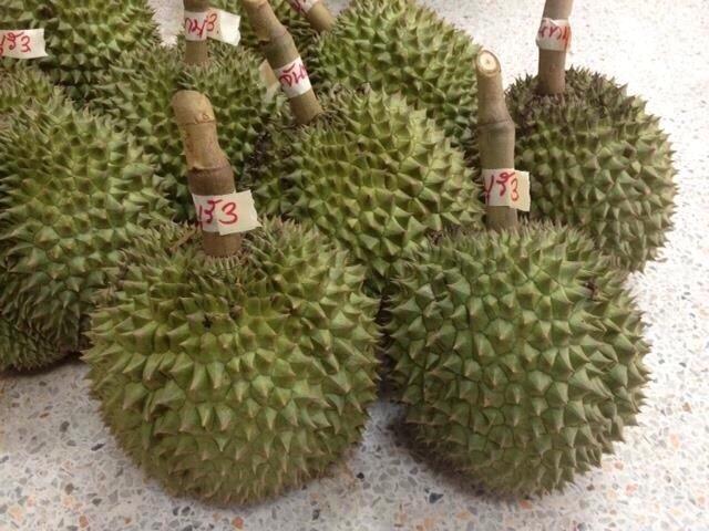 ทุเรียนดีสายพันธุ์ใหม่ จันทบุรี 1-6(Hybrid durians Thailand new species # Chantaburi 1-6)