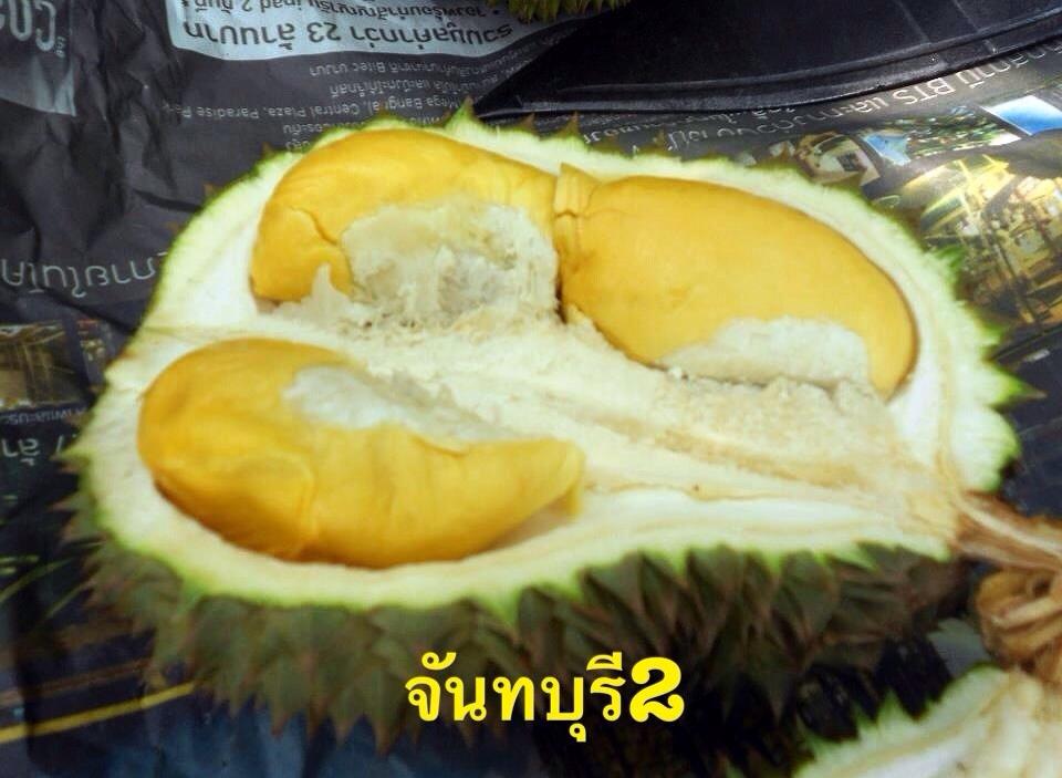 ทุเรียนดีสายพันธุ์ใหม่ จันทบุรี 1-6(Hybrid durians Thailand new species # Chantaburi 1-6)