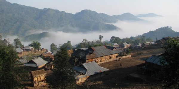 พงสาลีเมืองลาว