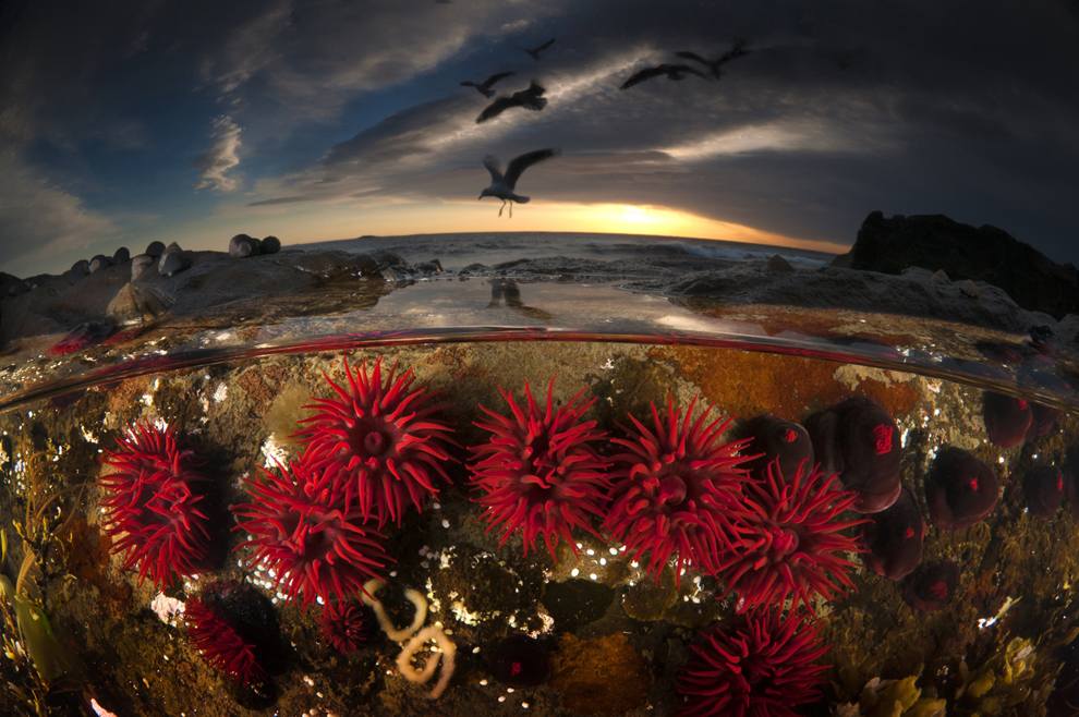 “National Geographic Photo Contest 2013”