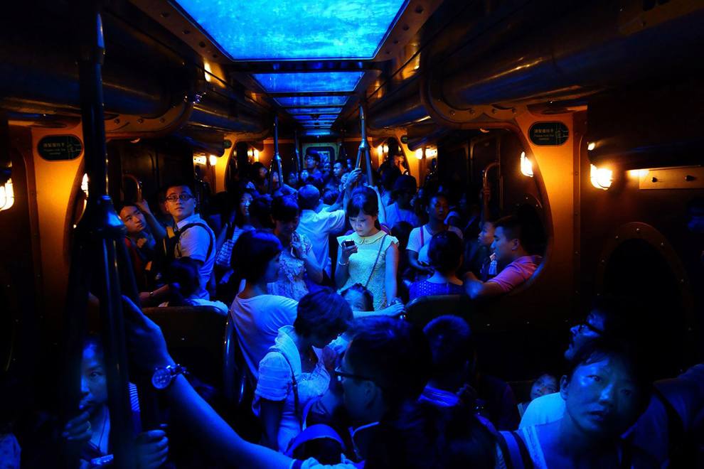 “National Geographic Photo Contest 2013”
