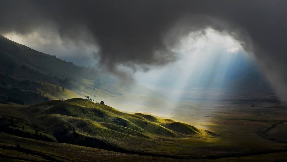 “National Geographic Photo Contest 2013”