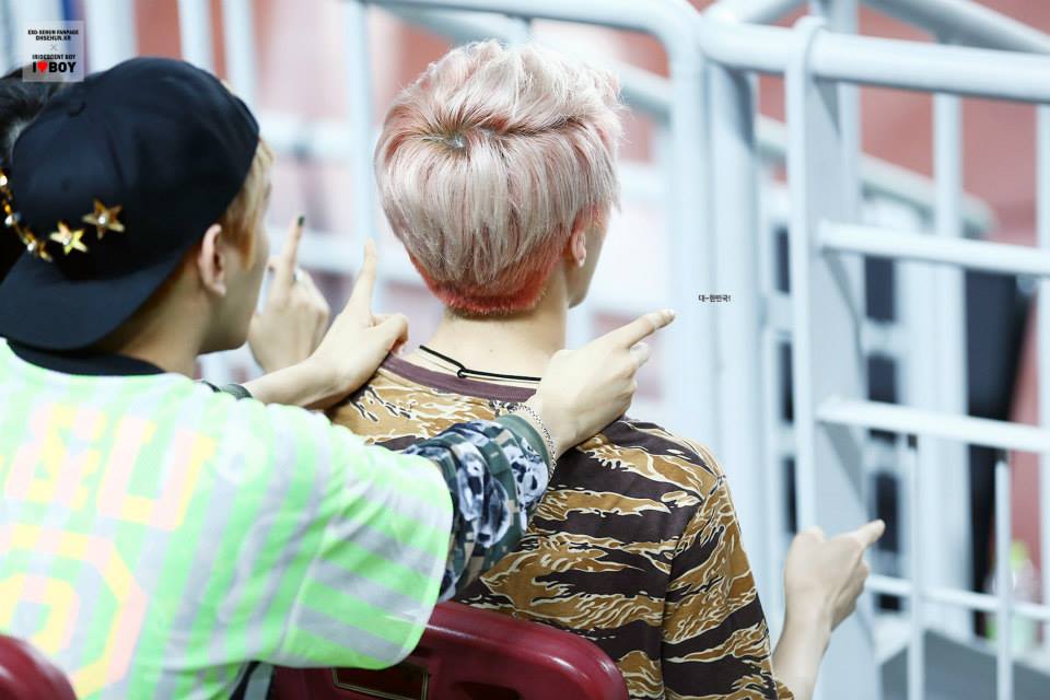 hair color sehun  1