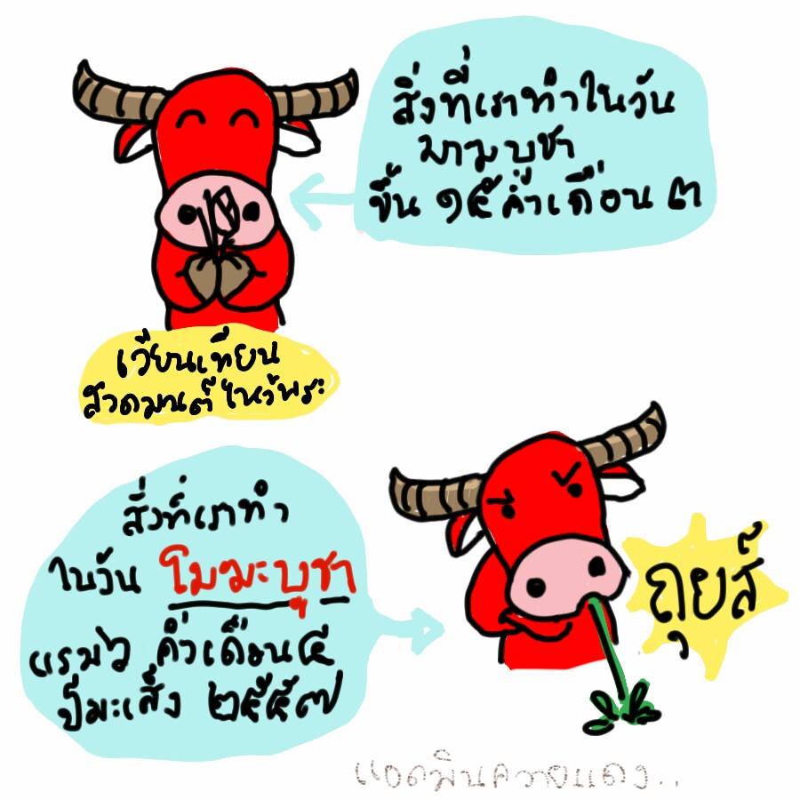 ควายแดง