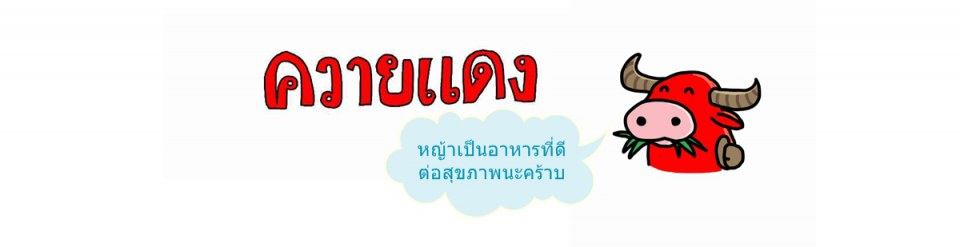 ควายแดง