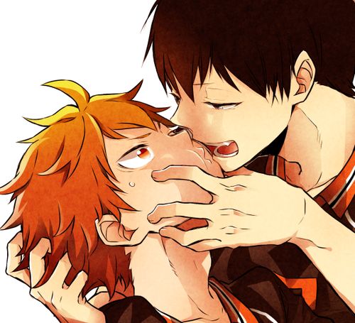 YAOI 259