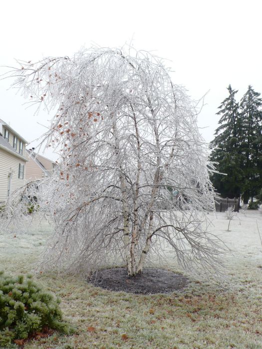 This is an example of "Season Change" it very nice picture.
