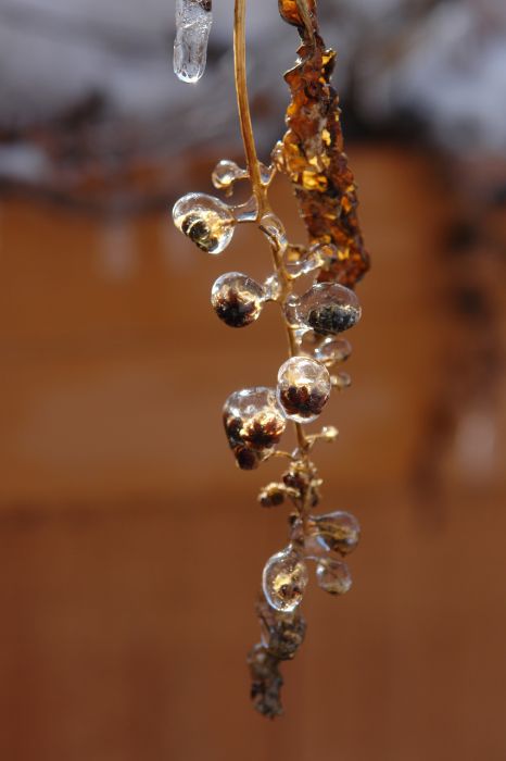 This is an example of "Season Change" it very nice picture.
