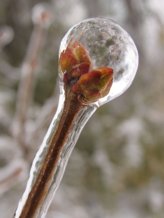 This is an example of "Season Change" it very nice picture.