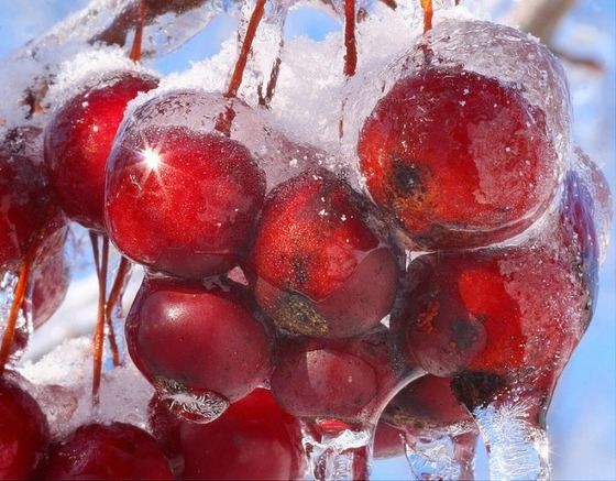 This is an example of "Season Change" it very nice picture.