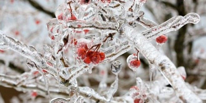 This is an example of "Season Change" it very nice picture.