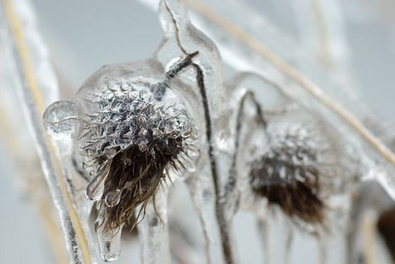 This is an example of "Season Change" it very nice picture.