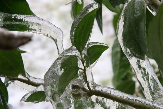 This is an example of "Season Change" it very nice picture.