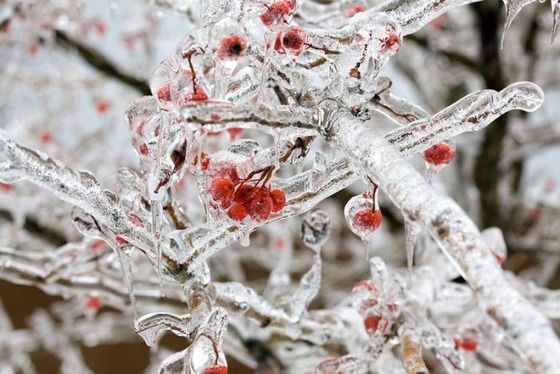 This is an example of "Season Change" it very nice picture.