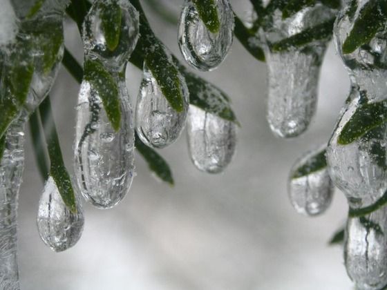 This is an example of "Season Change" it very nice picture.