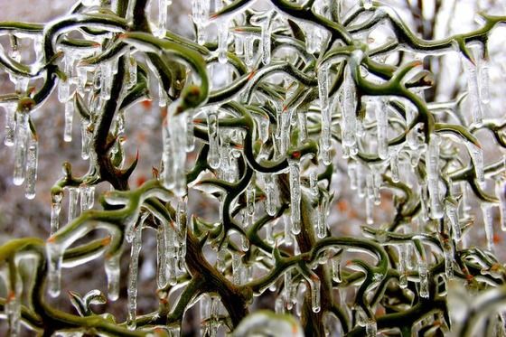 This is an example of "Season Change" it very nice picture.