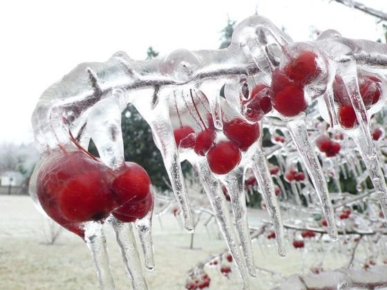 This is an example of "Season Change" it very nice picture.
