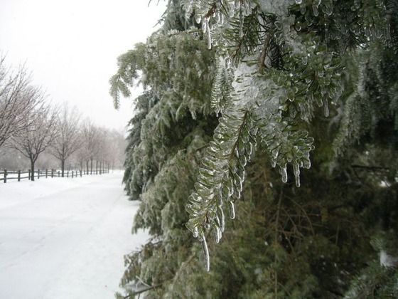 This is an example of "Season Change" it very nice picture.