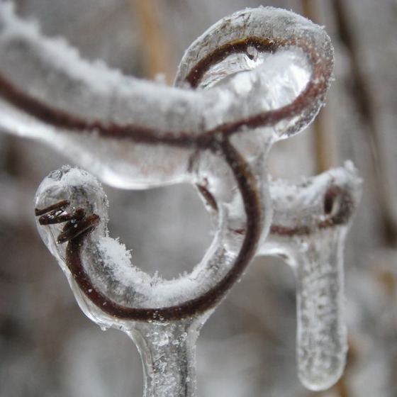 This is an example of "Season Change" it very nice picture.