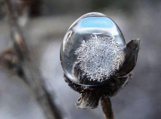 This is an example of "Season Change" it very nice picture.