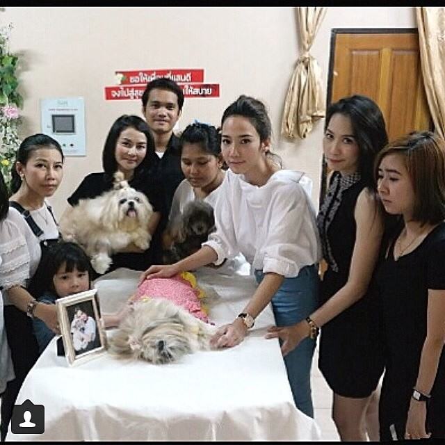 ไว้อาลัย แด่ ดวง วิญญาณ น้องการ์ตูน  ของ อั้ม พัชราภา  #aumlovecartoon