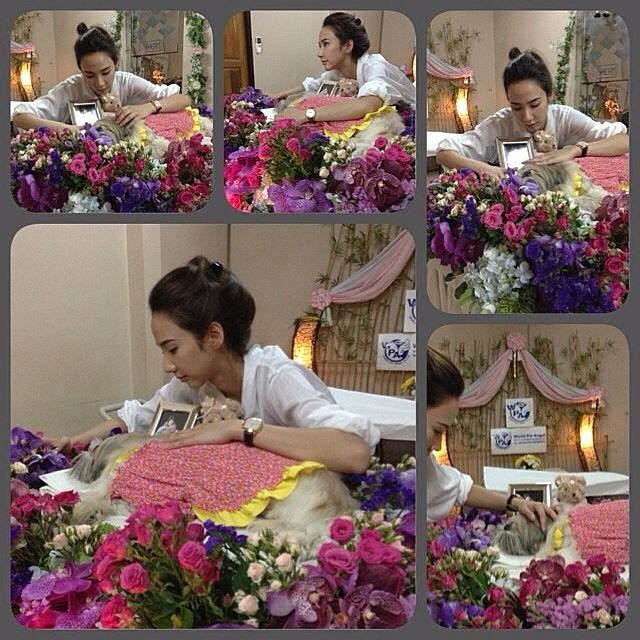 ไว้อาลัย แด่ ดวง วิญญาณ น้องการ์ตูน  ของ อั้ม พัชราภา  #aumlovecartoon