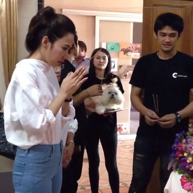 ไว้อาลัย แด่ ดวง วิญญาณ น้องการ์ตูน  ของ อั้ม พัชราภา  #aumlovecartoon