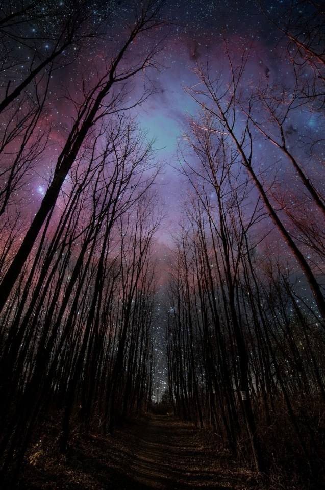 Galaxy & Sky