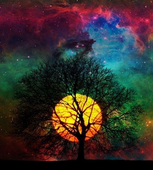 Galaxy & Sky