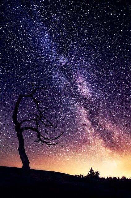 Galaxy & Sky