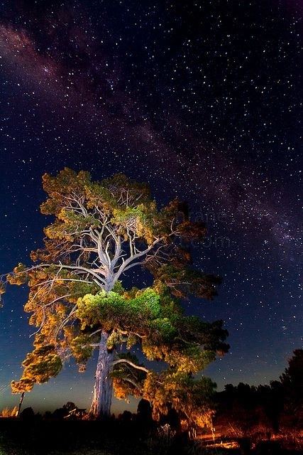 Galaxy & Sky