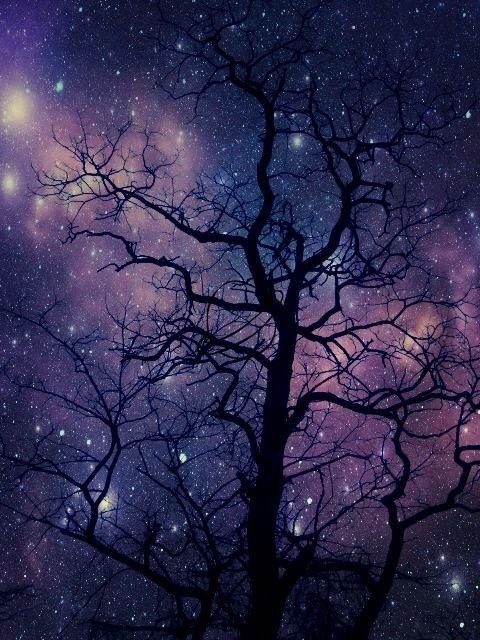 Galaxy & Sky