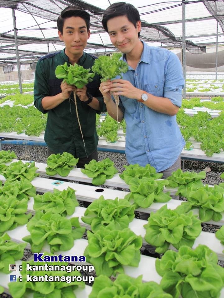 แก๊ป เพชร 2 หนุ่ม อารมณ์ดี ชวน เดินเที่ยวงาน คนไทยหัวใจเกษตร ครั้งที่ 5